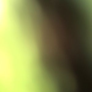 Meet your Posher, Mccrae